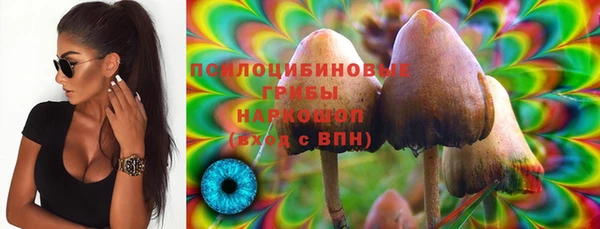 ешки Куйбышев
